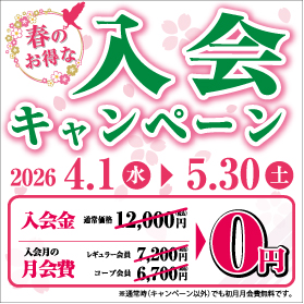 入会金0円イメージ